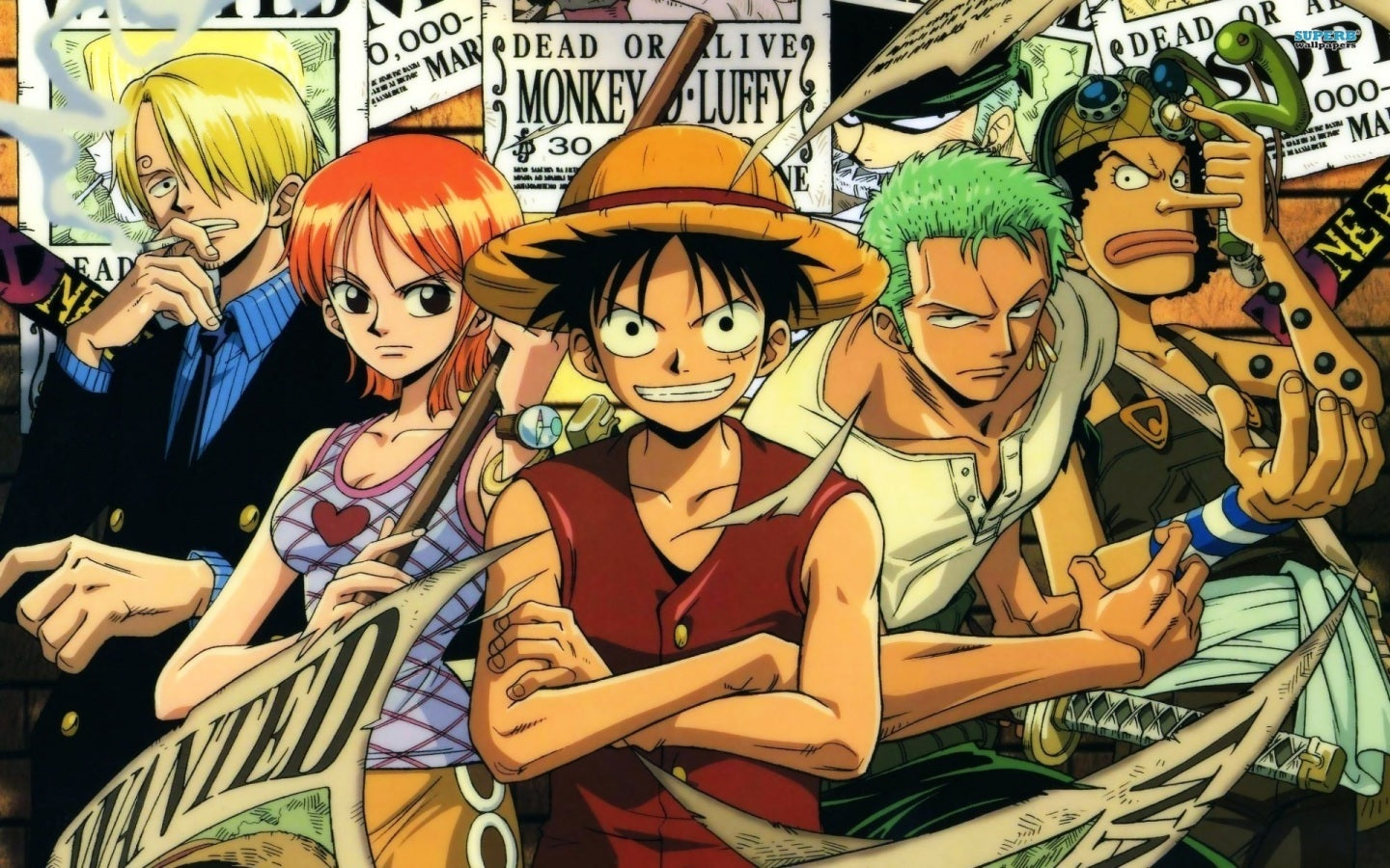 Strawhats / Toei Evolution [Anime Version] : r/OnePiece