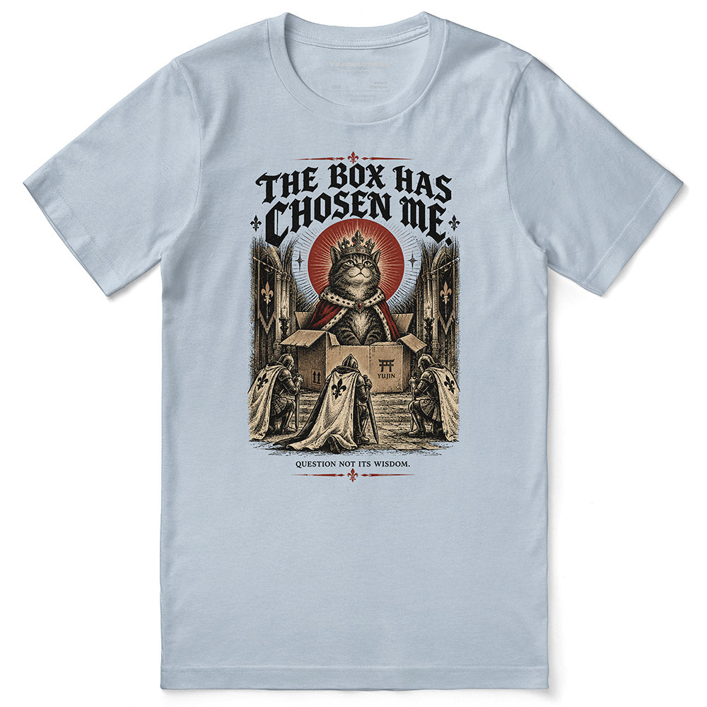 The Box Has Chosen Me Cat T-Shirt — Light Blue flat lay