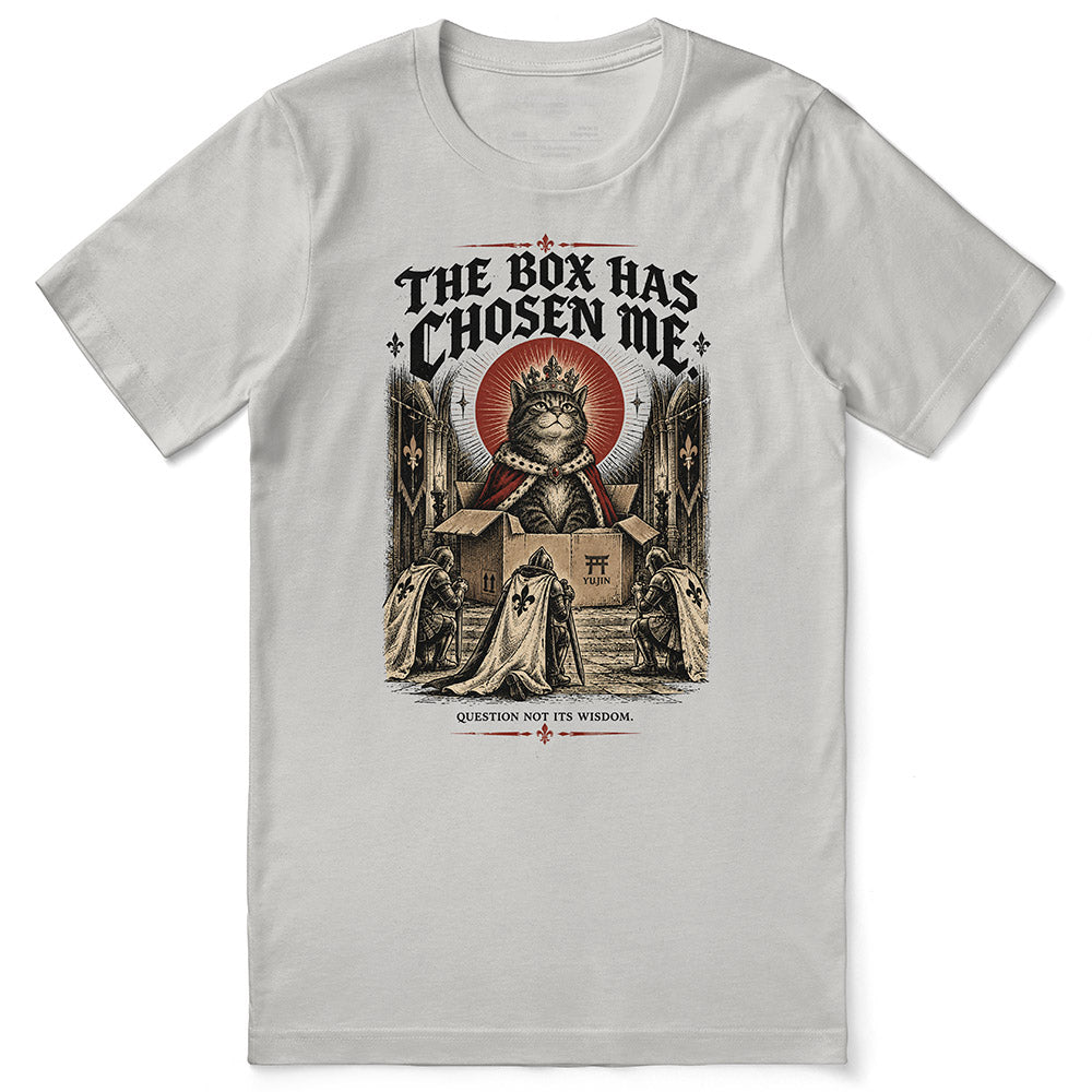 The Box Has Chosen Me Cat T-Shirt — Silver flat lay