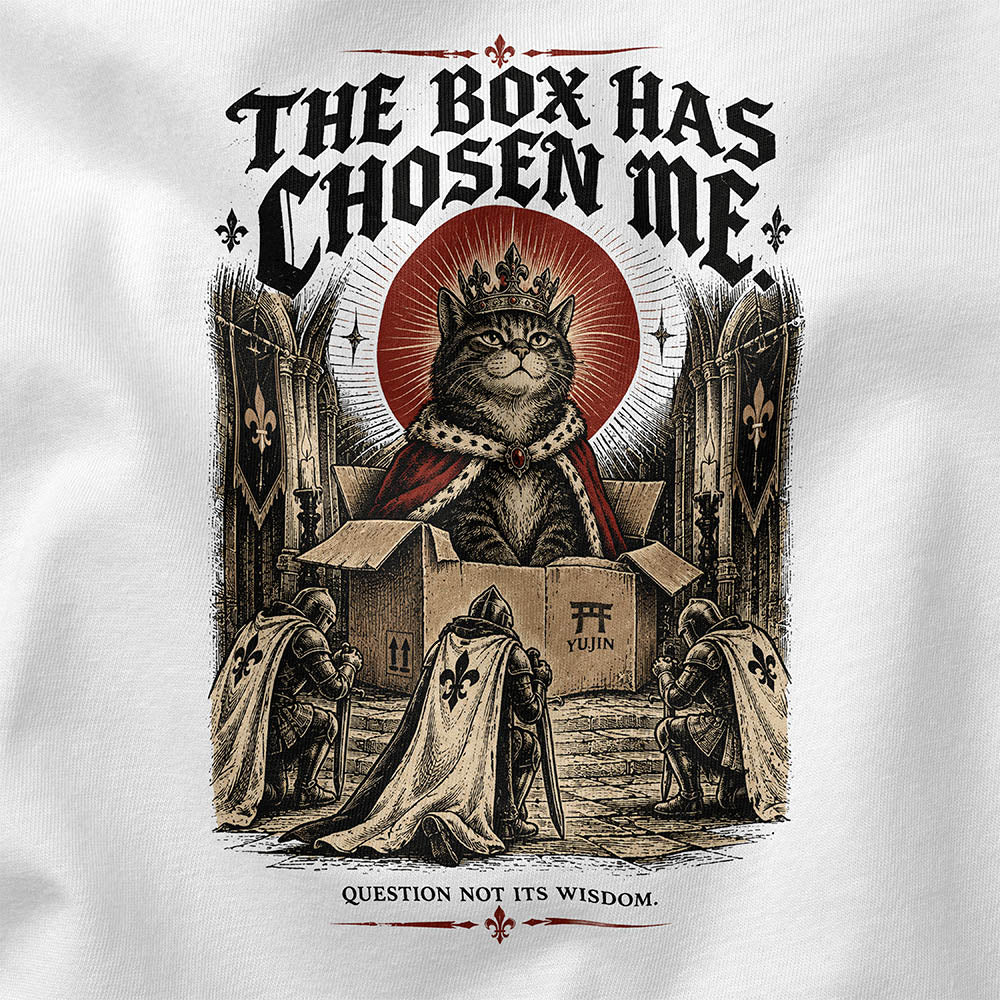 The Box Has Chosen Me Cat T-Shirt — White fabric closeup