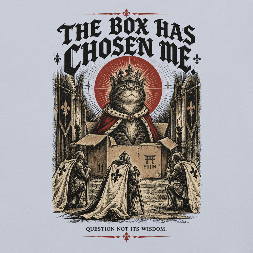 Close-up of The Box Has Chosen Me Cat T-Shirt artwork on Light Blue
