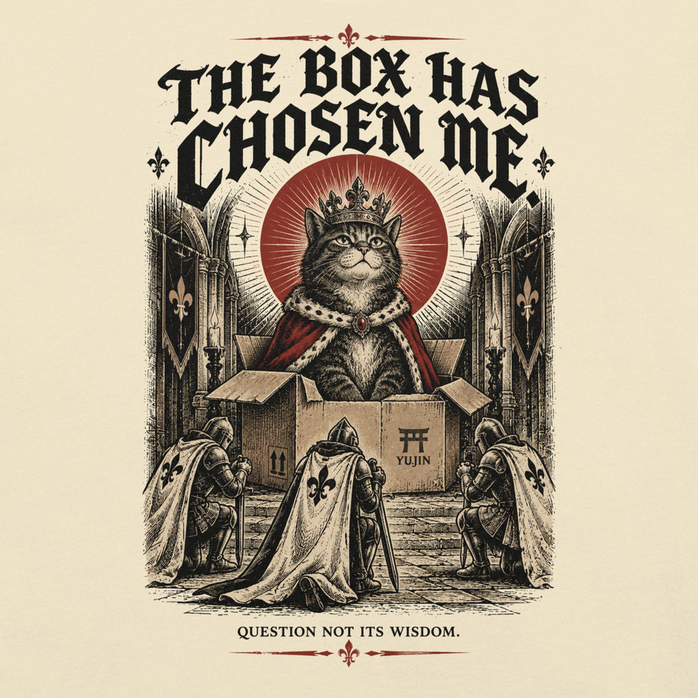 Close-up of The Box Has Chosen Me Cat T-Shirt artwork on Natural