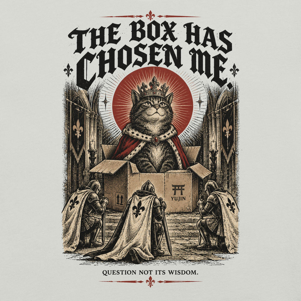 Close-up of The Box Has Chosen Me Cat T-Shirt artwork on Silver