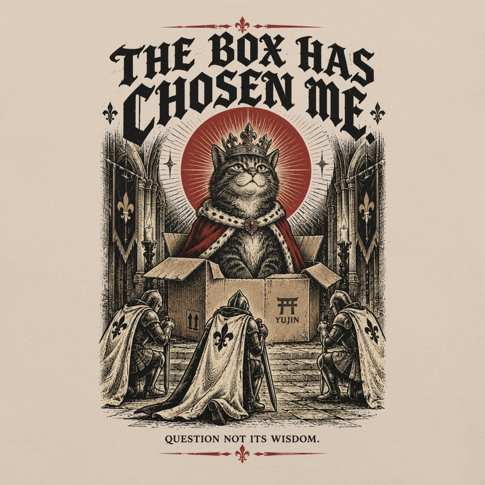 Close-up of The Box Has Chosen Me Cat T-Shirt artwork on Soft Cream